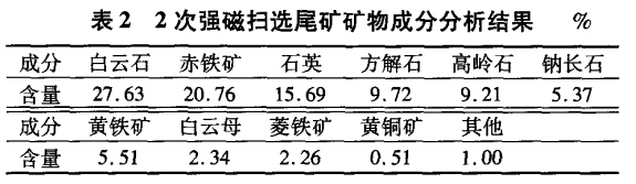 2次強磁掃選尾礦物成分分析結果